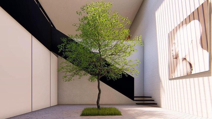 TIMM Architecture