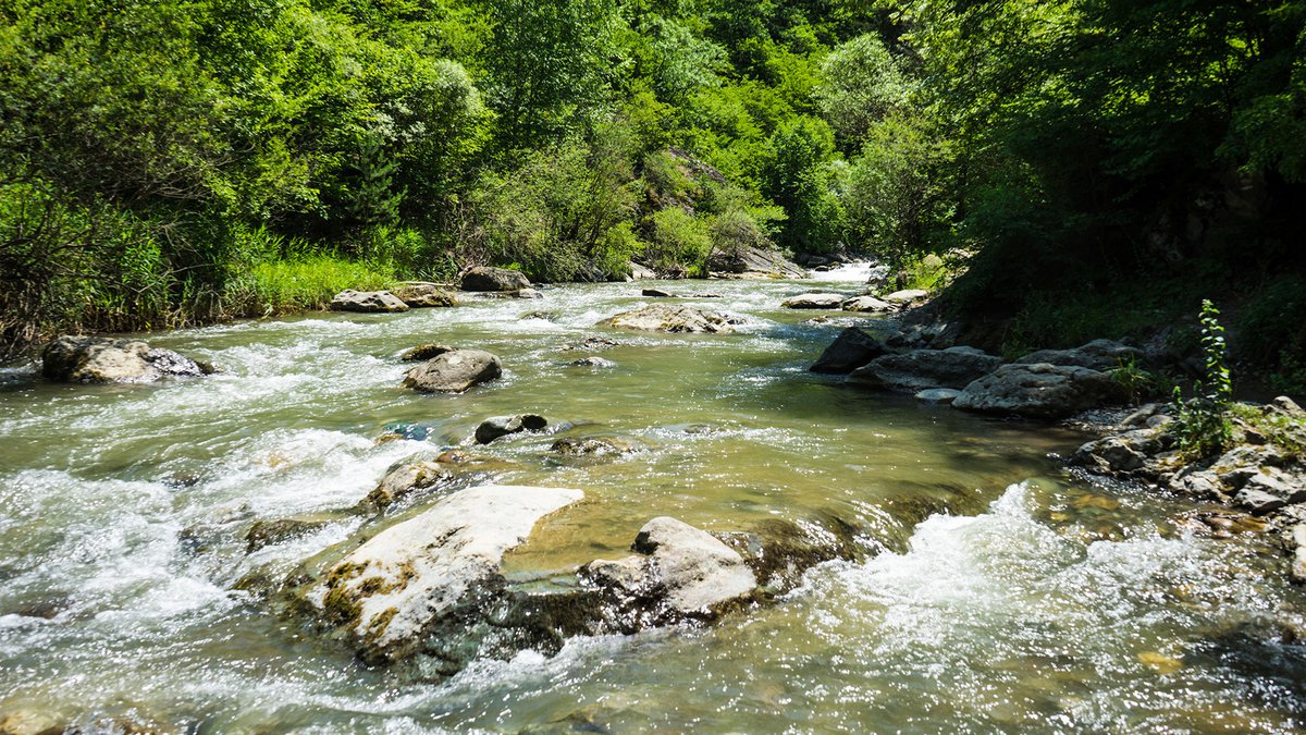 Ancient History of Georgia