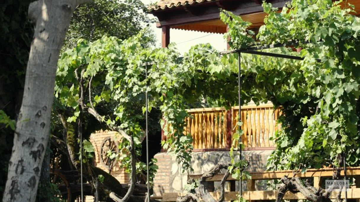 Vakho Oqruashvili Wine Cellar
