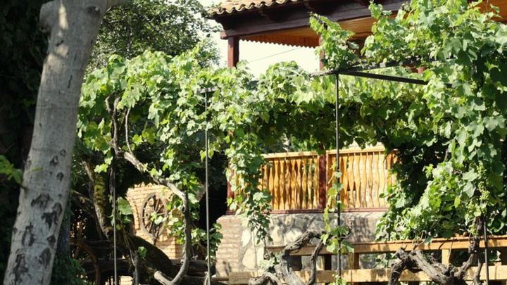 Vakho Oqruashvili Wine Cellar