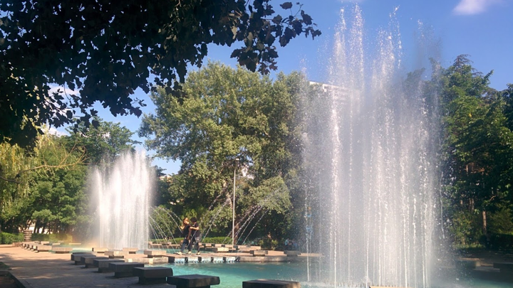 Vaso Godziashvili's Garden