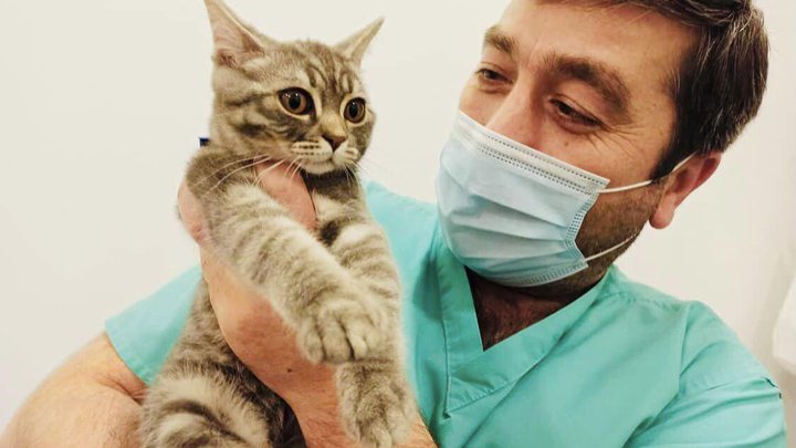 Vet Point