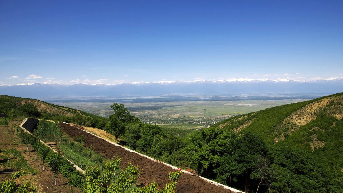 Alazani Valley
