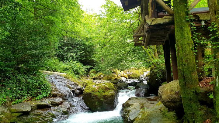 Tkhilnari Waterfall
