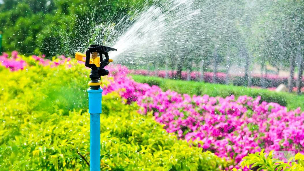 Water and Gas Technologies