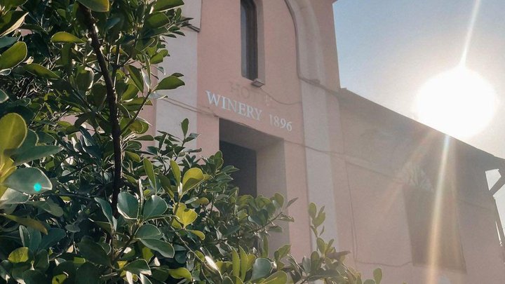 Winery number 1