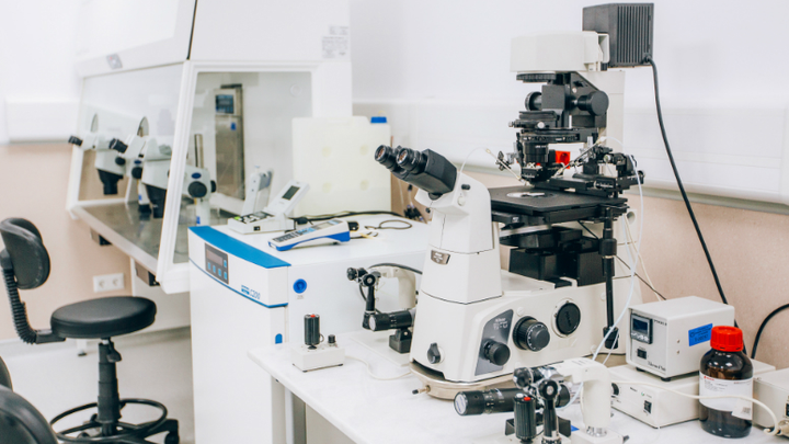 Zhordania - the center of reproductive medicine in Georgia