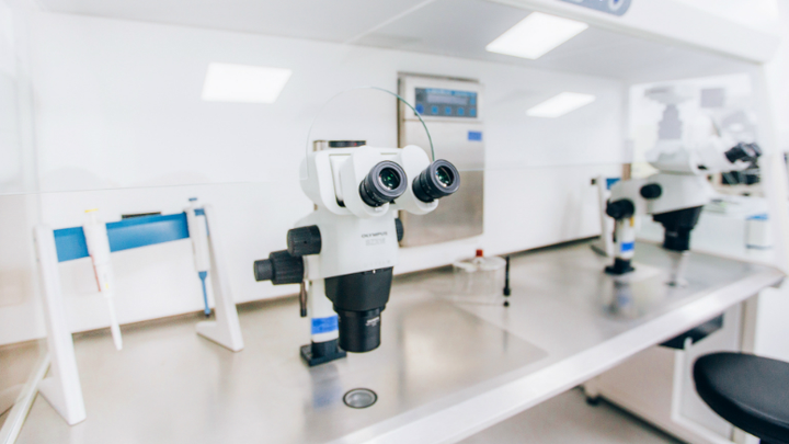 Zhordania - the center of reproductive medicine in Georgia