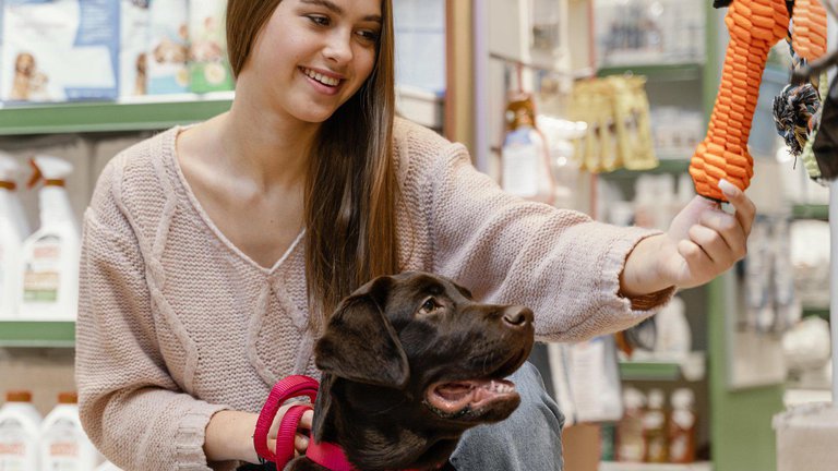 Pet stores in Batumi